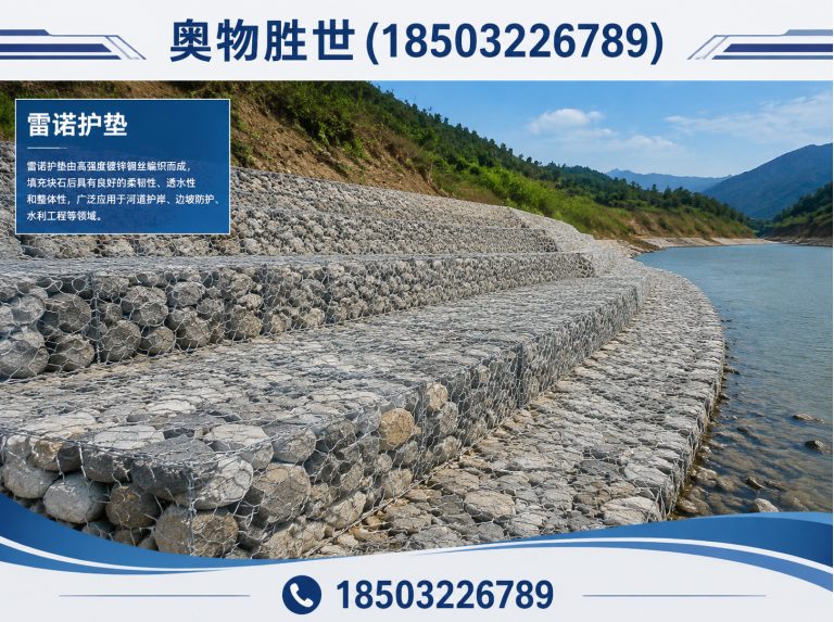 金昌雷诺护垫展示图